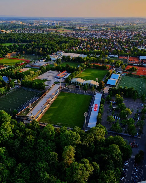 的转会策略 的转会策略