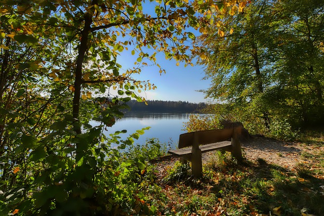 价值提升的 价值提升的