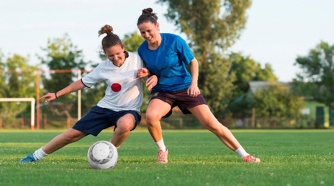 鱼类数量和 鱼类数量和