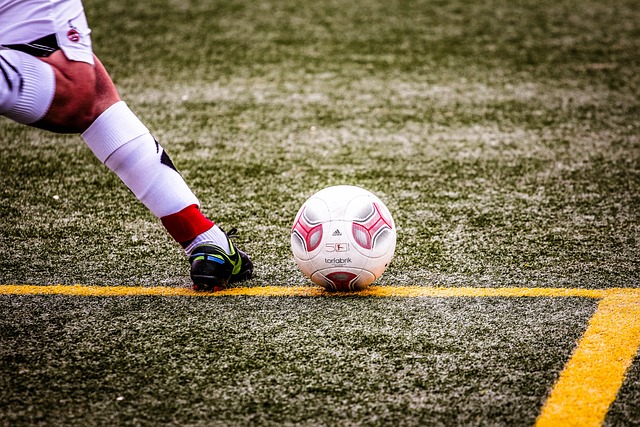 西蒙尼带领 西蒙尼带领