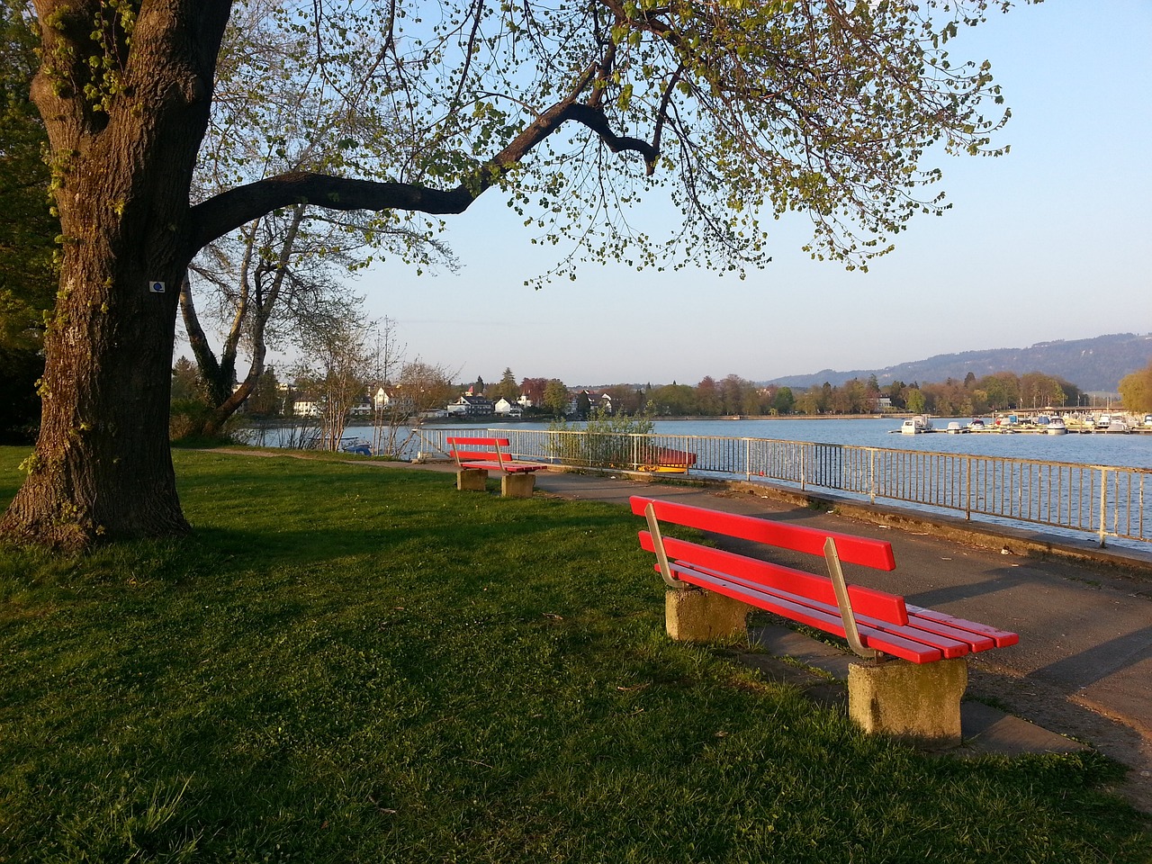 的艱辛與努 的艱辛與努