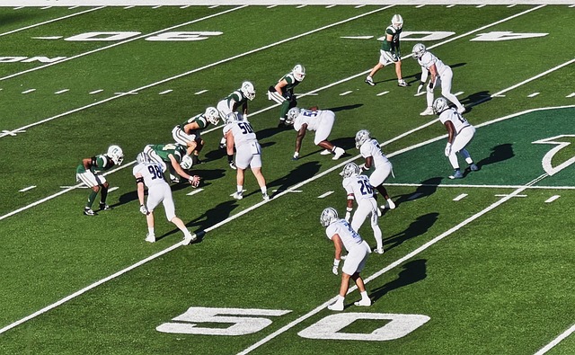 对于森林狼 对于森林狼