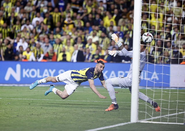 在主力球員 在主力球員